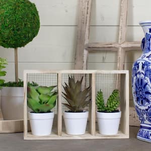 10 .75'' Artificial Mixed Potted Succulents in Wooden Box