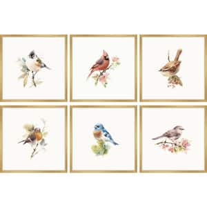 Watercolor Songbirds - Set of 6-Framed Giclee Bird Art Print 15 in. x 15 in. each
