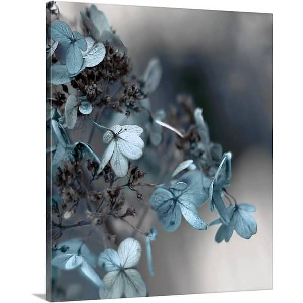 GreatBigCanvas "Blue Hydrangea" by Tracey Telik Canvas Wall Art