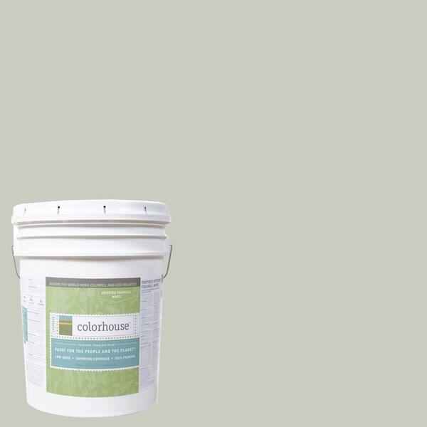 Colorhouse 5 gal. Leaf .03 Eggshell Interior Paint