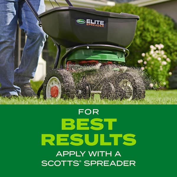Scotts Turf Builder Rapid Grass 16 Lbs Sun And Shade Grass Seed 116 1 The Home Depot