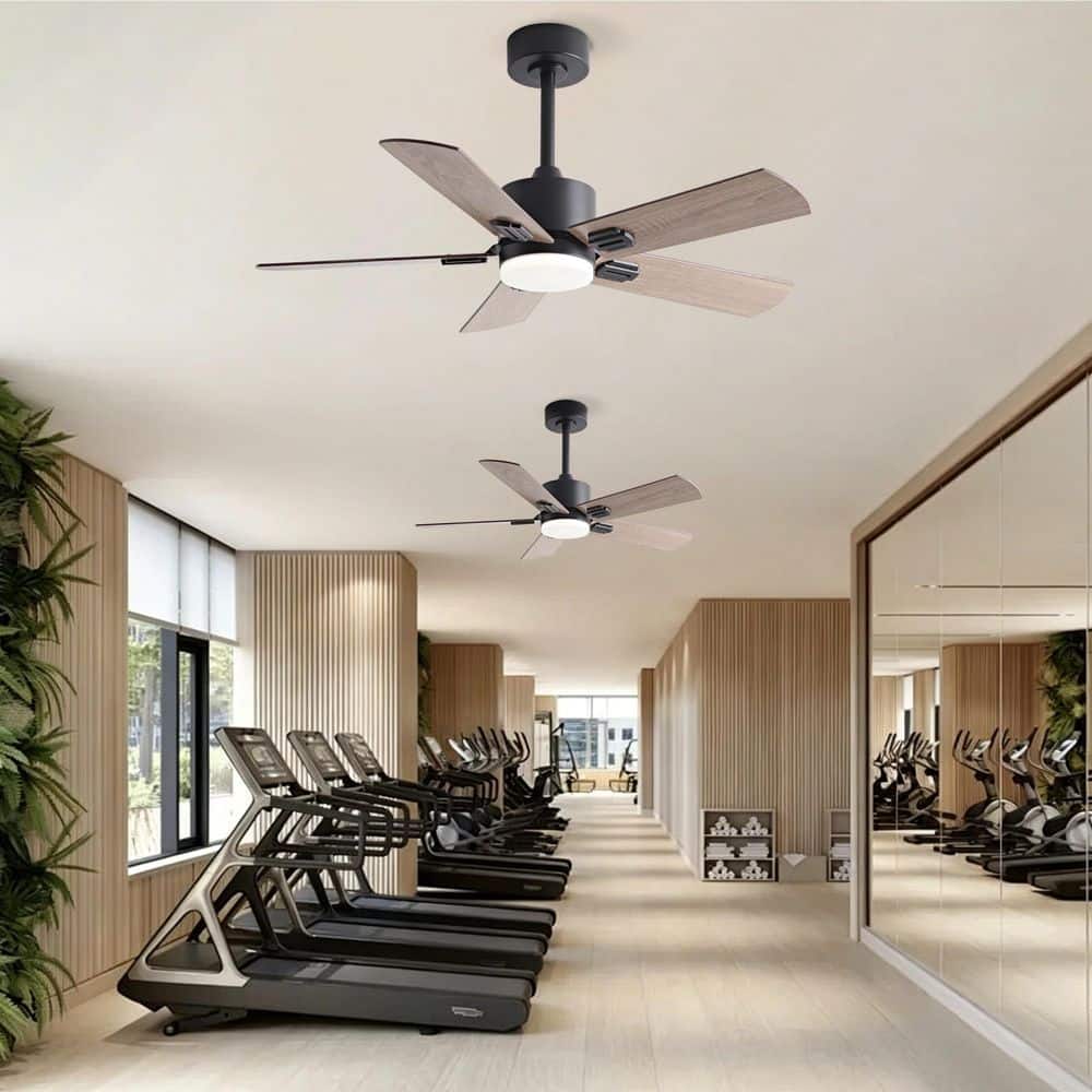 52 in. Black Downrod Mount Standard Ceiling Fan with 3 CCT LED Light Included with Remote Included for Living Room price history on PriceWatchPro