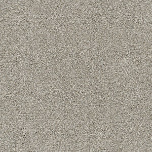 Evermore II - Wintry Brown - 55 Oz. SD Polyester Texture Installed Carpet