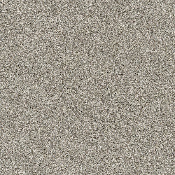 Evermore II - Wintry Brown - 55 Oz. SD Polyester Texture Installed Carpet