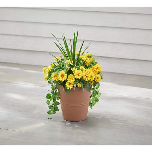12 in. Hallie Medium Peach Terracotta Plastic Planter (12 in. D x 10 in. H) with Drainage Hole