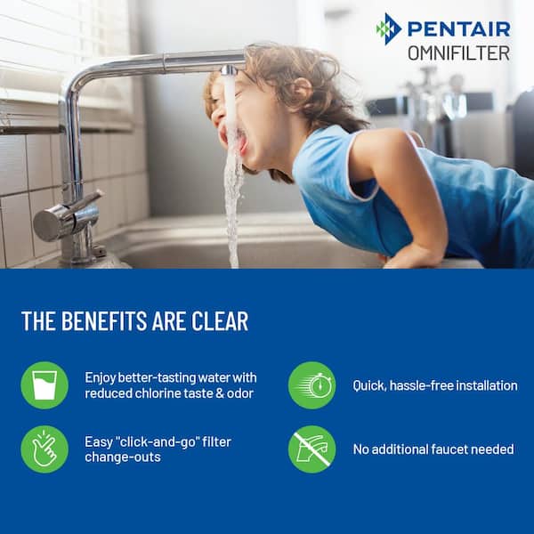 SY GOODLIFE Q5-F Direct Connect Remove Flouride Under Sink Water Filter