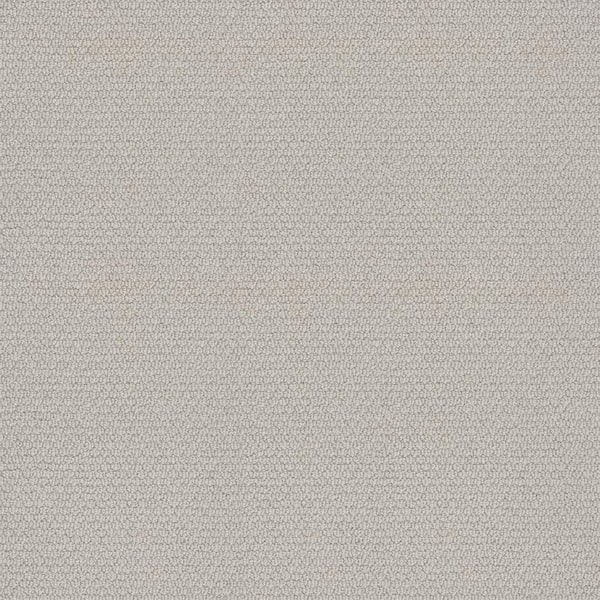 Lifeproof Summerville - Color Tender Tint Loop Beige Carpet
