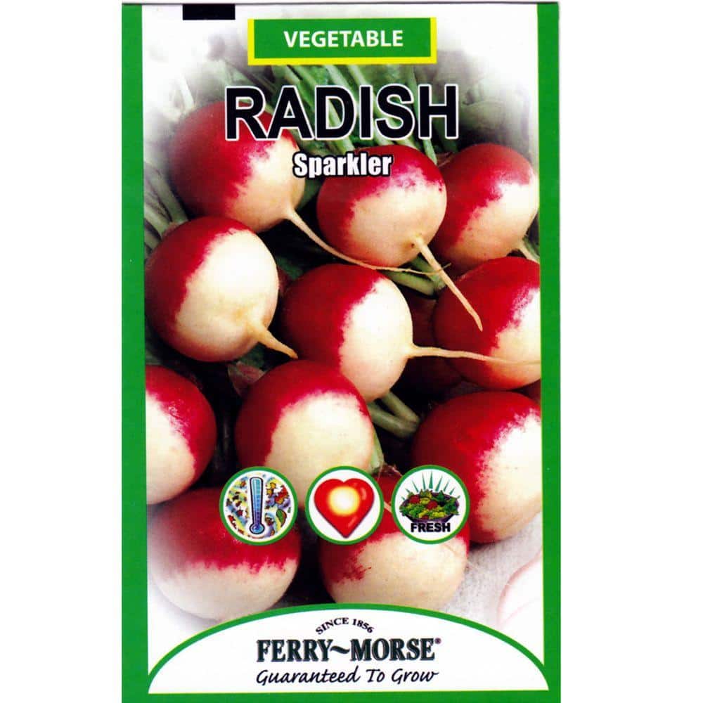 radishです。 Ferry-Morse Radish Sparkler Seed 1355 - The Home Depot