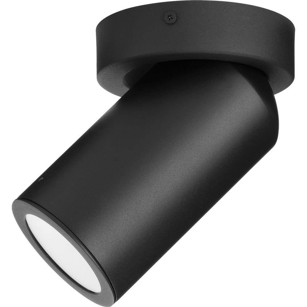 Black Aluminum LED Indoor/Outdoor Flush Mount Cylinder Light