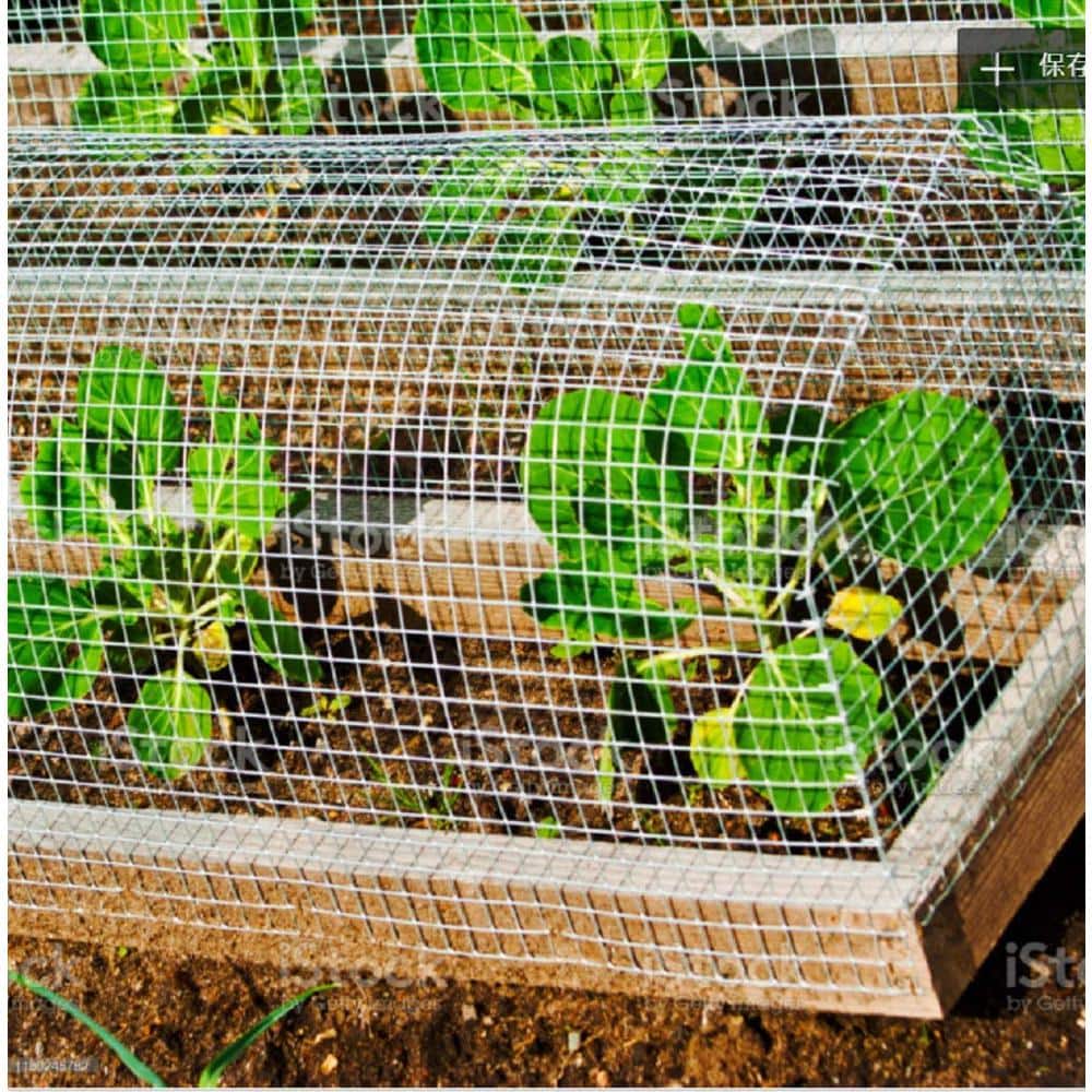 Galvanized Metal Chicken Wire Mesh for Garden and Security, 3' x 5'