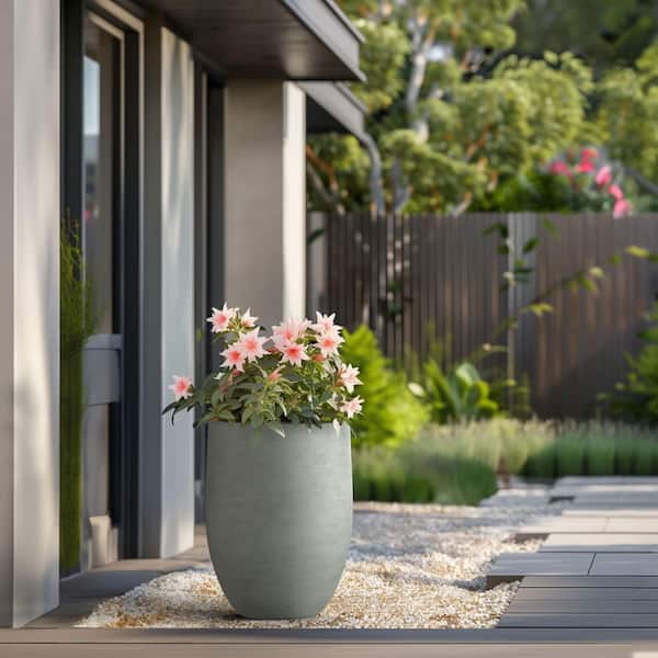 17 in. Large Sage Gray Concrete Round Planter/Pot with Drainage Holes