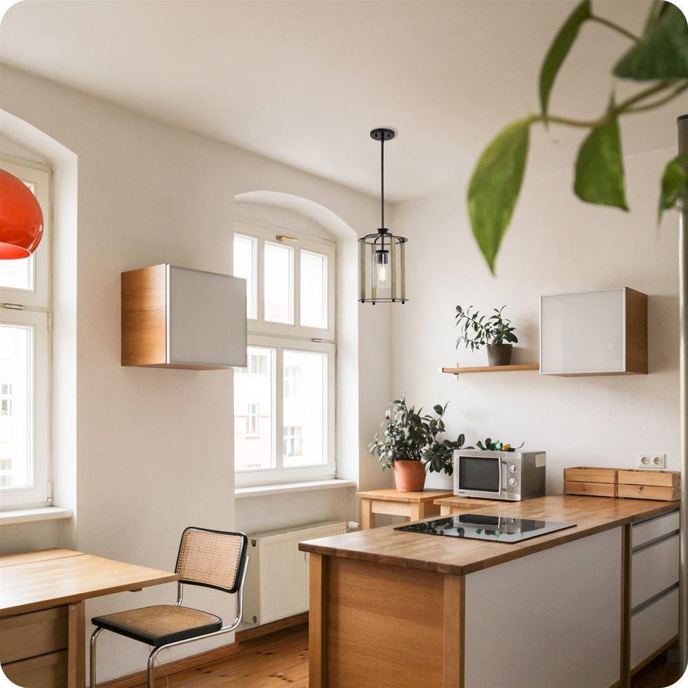 Houston Modern Farmhouse Black Pendant Light with Clear Glass Shade