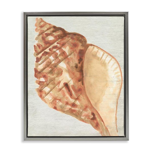 Stupell Industries Tan Conch Shell by June Erica Vess Gray Floater Frame Coastal Graphic Art Print 31 in. x 25 in.