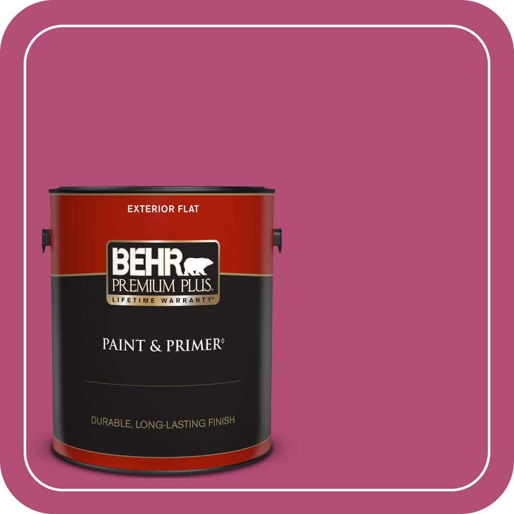 1 gal. #P120-6 Diva Glam Flat Exterior Paint & Primer price history on PriceWatchPro