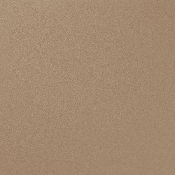 Ralph Lauren 13 in. x 19 in. #RR131 China Clay River Rock Specialty Paint Chip Sample