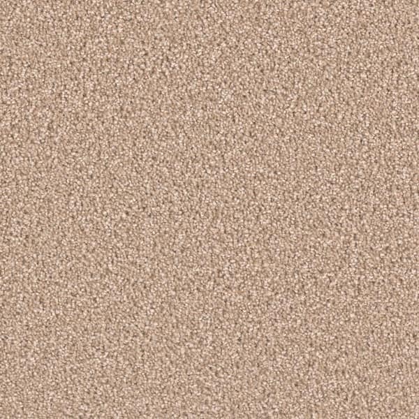 Home Decorators Collection 8 in. x  8 in. Texture Carpet Sample - Delicate Flower -Color Gem