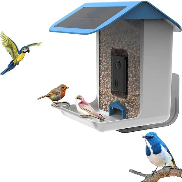Afoxsos Smart Bird Feeder with Solar Roof, 1080P HD Camera, AI