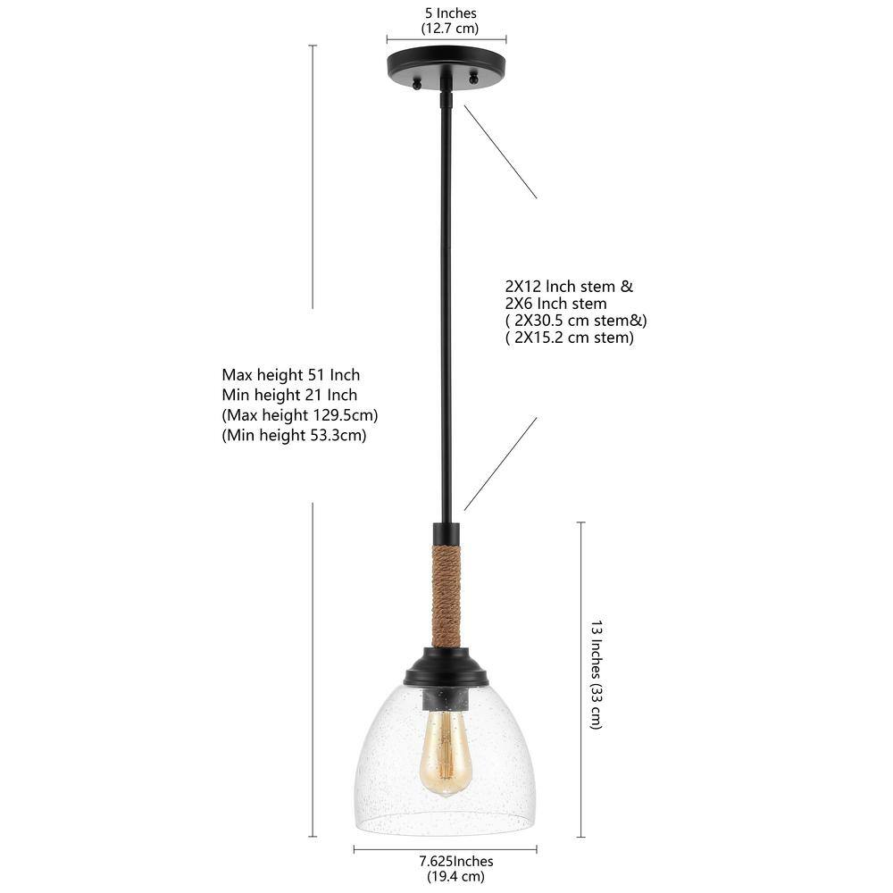 Alys 7.63" Modern Rustic Iron & Clear Glass LED Pendant - Black