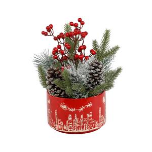 Norfolk Pine Christmas Plants Indoor Christmas Decorations The Home Depot