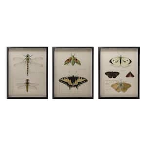 3 Piece Framed Nature Insect Poster 17.75 in. x 13.75 in.