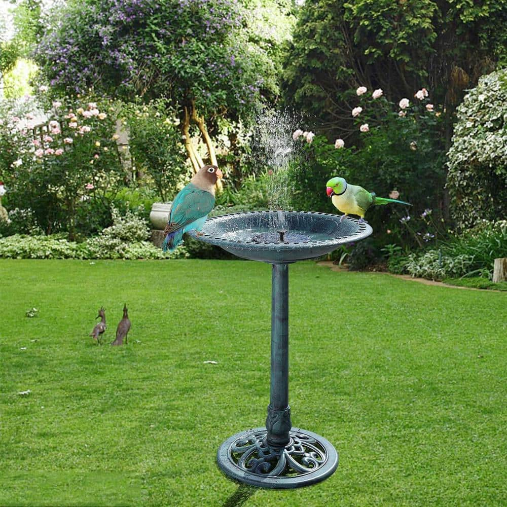 Karl home Green Resin Single Tier Birdbath 981449056486 - The Home Depot