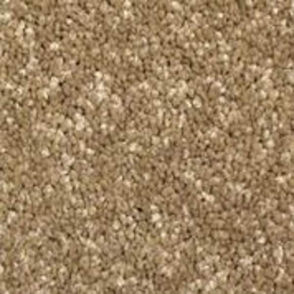 Home Decorators Collection Sycamore I - Barge - Brown 45 oz. SD Polyester Texture Carpet - Installation Required