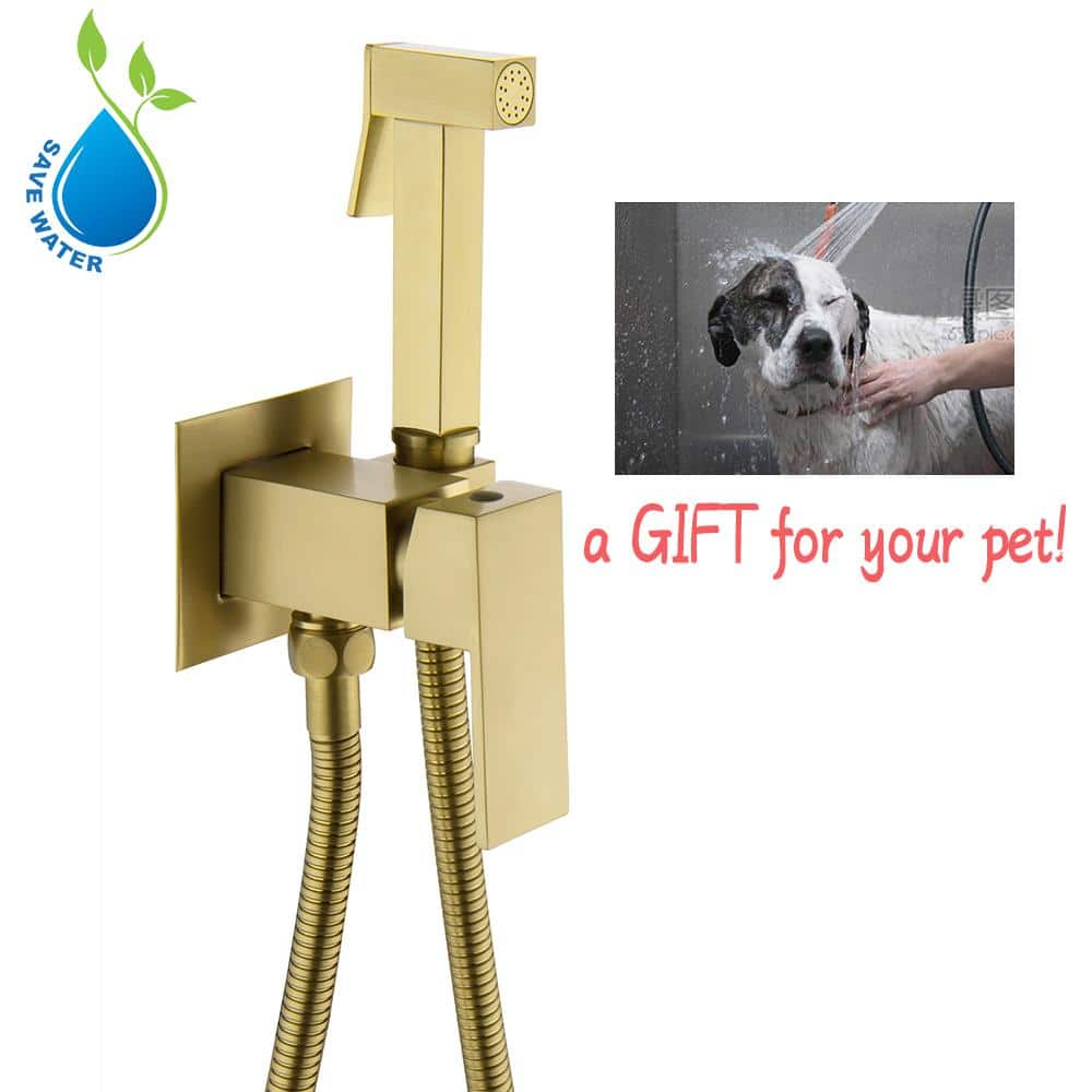 UKISHIRO Viki SingleHandle Brass Bidet Faucet with Coldhot Water Lever