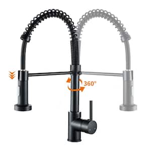 Springs Single-Handle Pull-Down Sprayer Kitchen Faucet with Deckplate Included in Matte Black