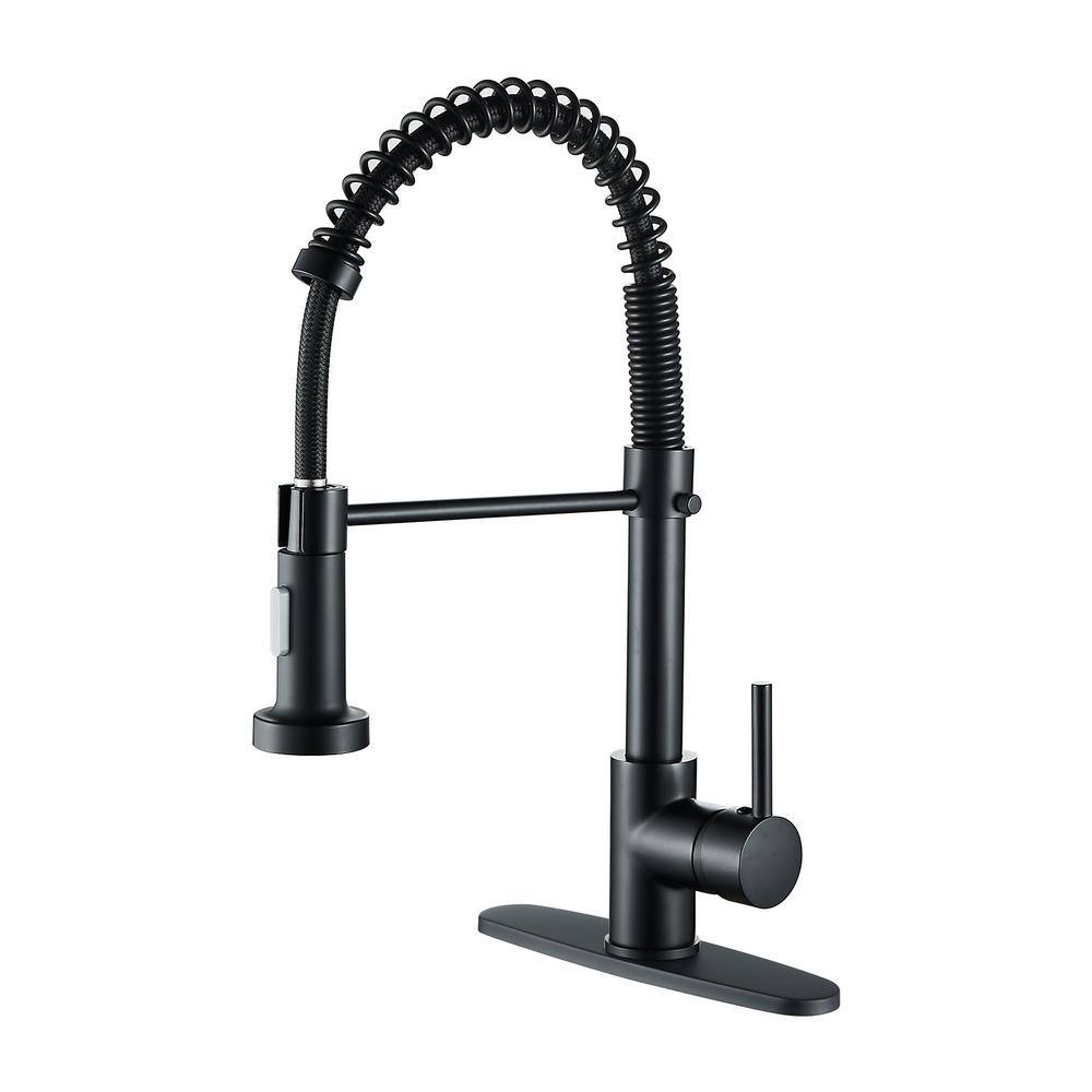 Single-Handle Pull Out Sprayer Coil Spring High-Arc Kitchen Faucet with Deckplate Sink Faucet in Matte Black price history on PriceWatchPro
