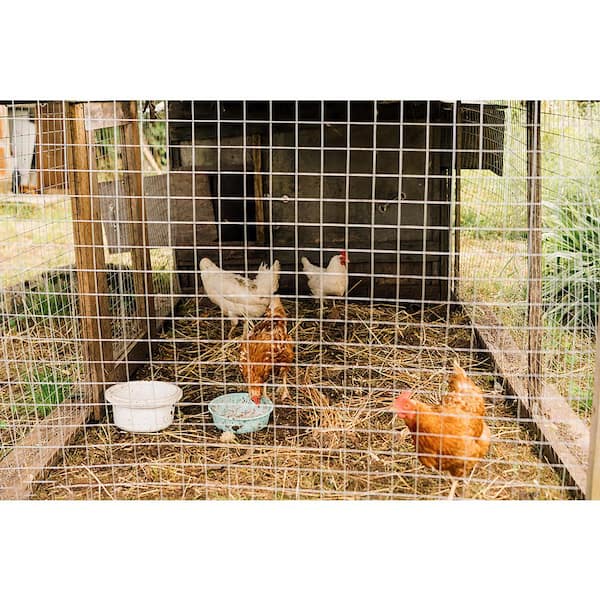 1/4 in. x 48 in. x 100 ft. Hardware Cloth 23-Gauge Wire Mesh Fence Chicken and Rabbit Cage Garden and Plant Support