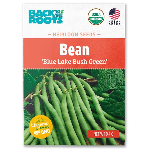 Organic Blue Lake Bush Green Bean Seed (1-Pack)