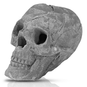 Ceramic Fireproof Skull 8.75 in. x 6.50 in. Gas Log Accessories in Gray for Firepit (1-Pack)
