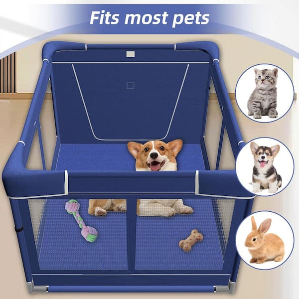 DOG & DUCK BLANKET – VAULTROOM