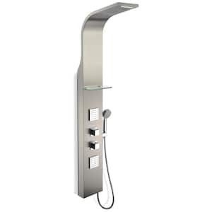 Niagara 64 in. 2-Jetted Full Body Shower Panel with Heavy Rain Shower and Spray Wand in Brushed Stainless Steel