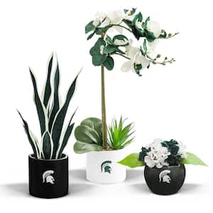20 in. MSU Spartans Artificial Orchid Plant, Snake Plant, and Hydrangea (3-Pack)