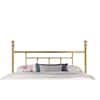 Hillsdale Furniture Chelsea Classic Brass Queen Headboard 1038HQR