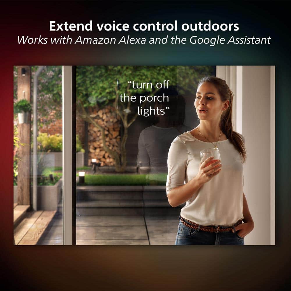 Black Metal and Glass Outdoor Smart Wall Lantern with LED