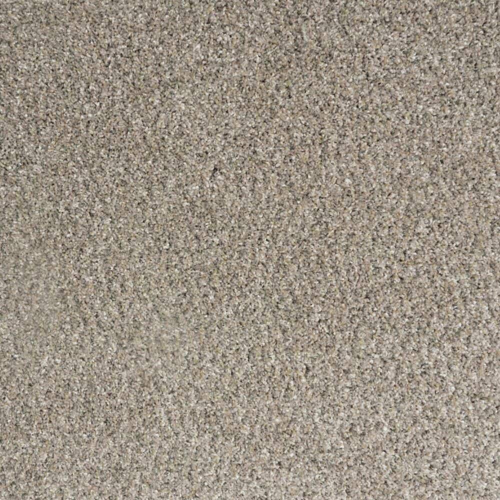 8 in. x 8 in. Texture Carpet Sample-Bolter II-Color Forge price history on PriceWatchPro