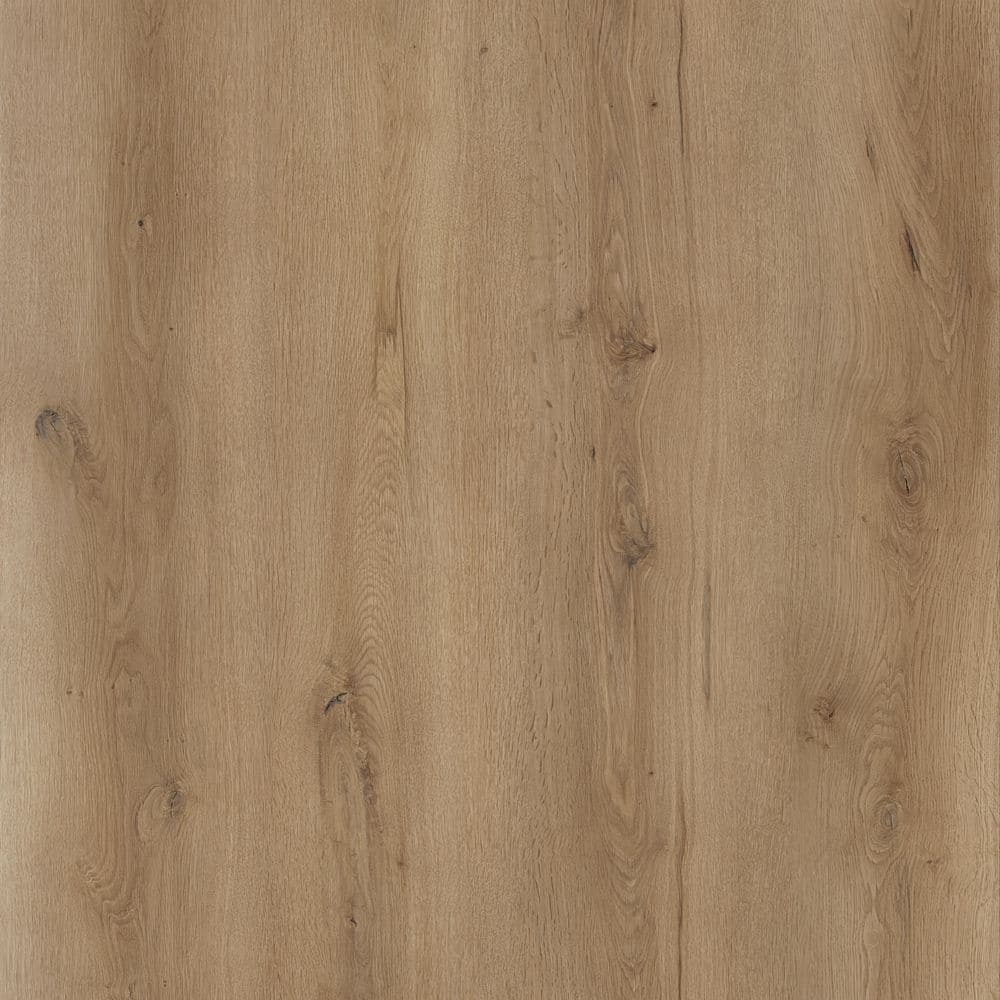 Take Home Sample-Woo-dy Ridgeside Oak 20 MIL x 9 in. W x 60 in. L Click Lock Waterproof WPC Luxury Vinyl Plank Flooring price history on PriceWatchPro