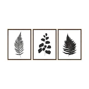 Botanical Ferns Framed Canvas Wall Art - 24 in. x 32 in. Each, by Kelly Merkur 3-Piece Set Natural Frames