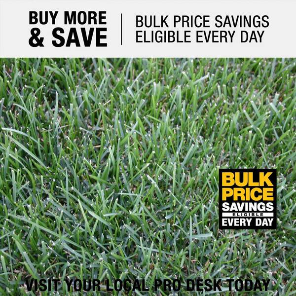 Harmony 500 Sq Ft Bluegrass Sod 1 Pallet Hh500bg1 The Home Depot