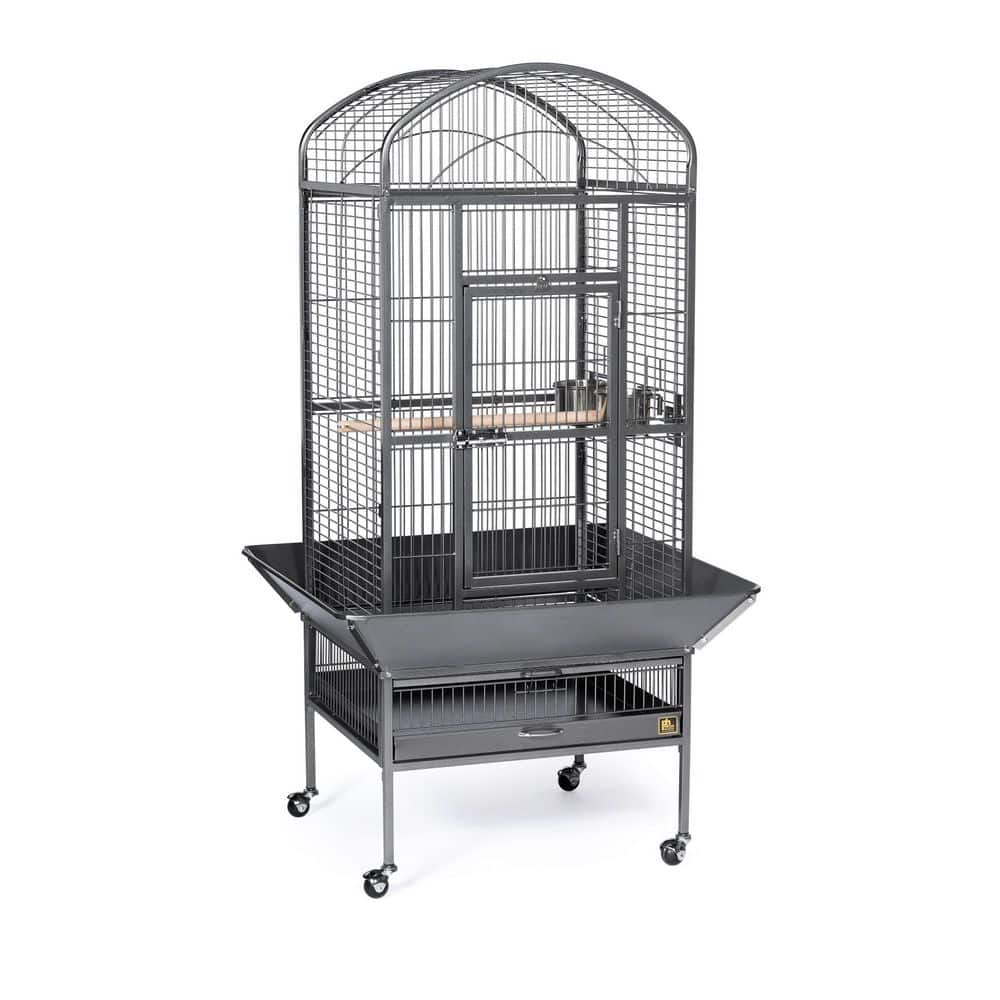 Medium Black Dome Top Cage price history on PriceWatchPro