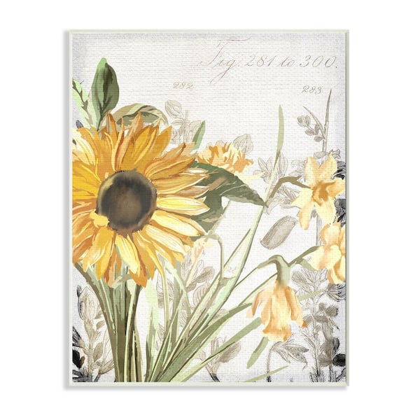 Stupell Industries Soft Sunflower Floral over Vintage Plant Illustration By Kim Allen Unframed Print Nature Wall Art 10 in. x 15 in.