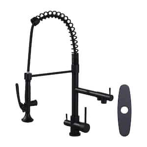 Double Handle 3 in 1 Solid Brass Pull Down Sprayer Kitchen Faucet with Drinking Water and Deckplate in Matte Black