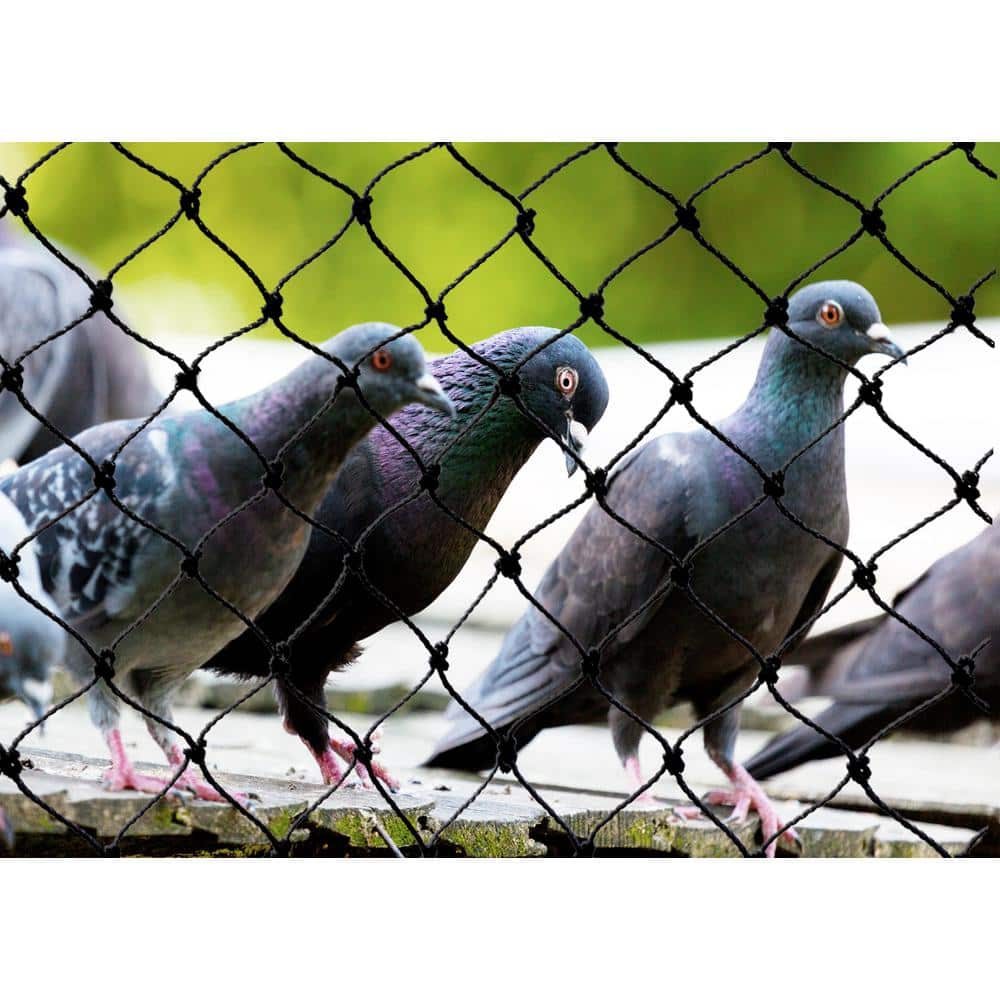 Heavy-Duty Black Polyethylene Bird Repellent Netting, 25 ft. x 50 ft.