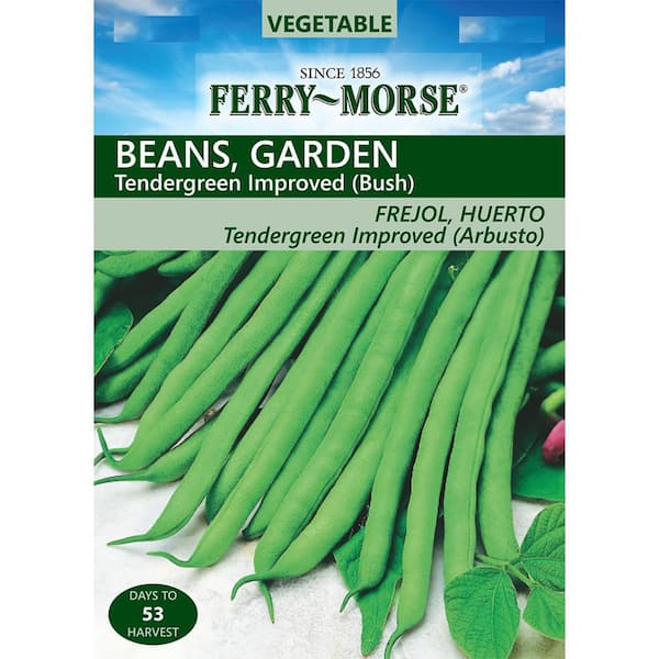 Ferry-Morse Bean Tendergreen Improved Value Pack Seed
