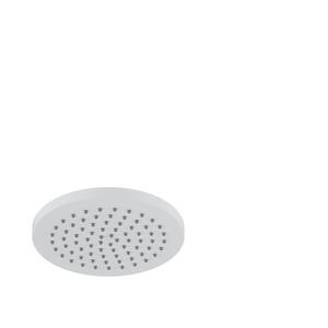 Raindance S 1-Spray Patterns with 2.5 GPM 11 in. Wall Mount Fixed Shower Head in Matte White