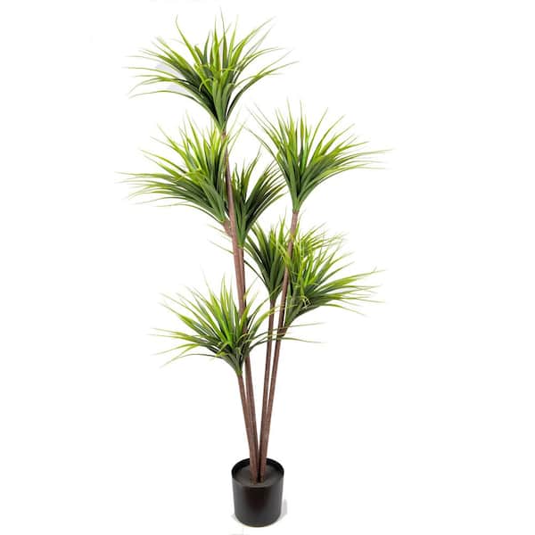 NATURAE DECOR 70 in. GREEN Artificial DRACAENA IN BLACK PLANTER POT