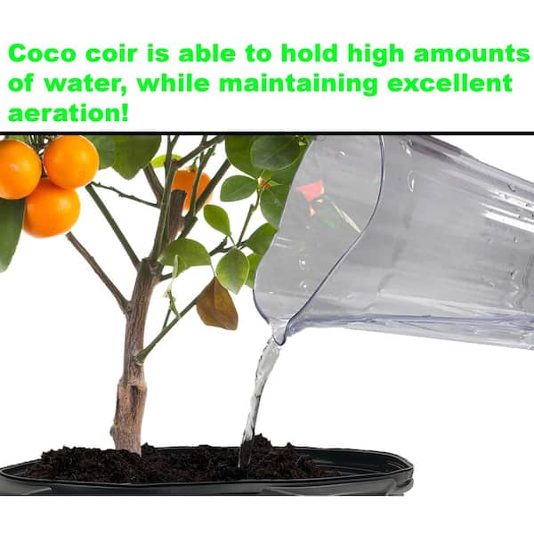 Organic Coconut Coir for Plants – clarioy