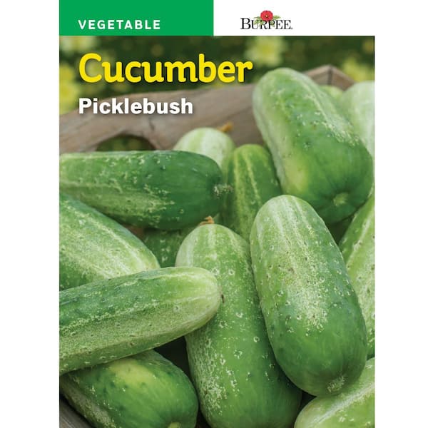 burpee-cucumber-picklebush-seed-65896-the-home-depot